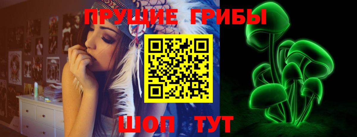 Галлюциногенные грибы прущие грибы  Вход с VPN  Тобольск 